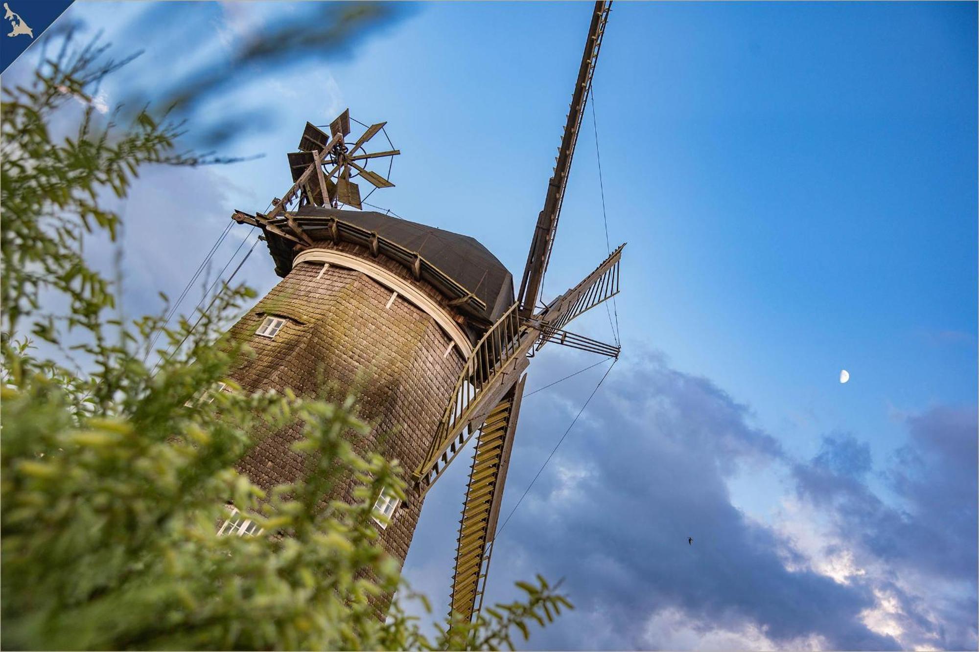 Ferienanlage Seeblick Ostseeperle Koserow Buitenkant foto